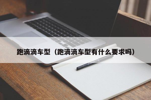 跑滴滴车型（跑滴滴车型有什么要求吗）
